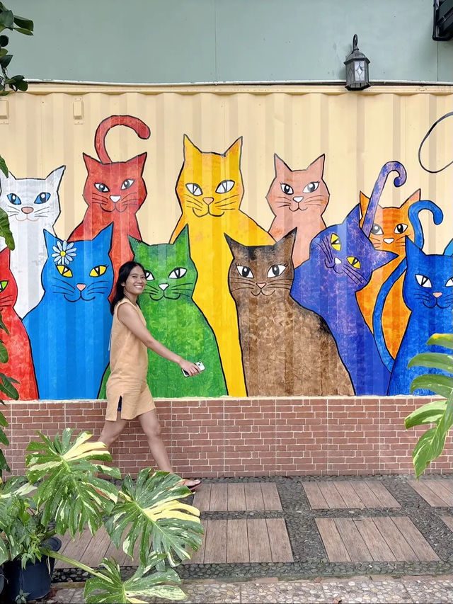 CUP a CAT CAFE’ (CAT WALK) ใครชอบน้องแมวมาค่ะ CUP a CAT CAFE’ (CAT WALK) ใครชอบน้องแมวมาค่ะ