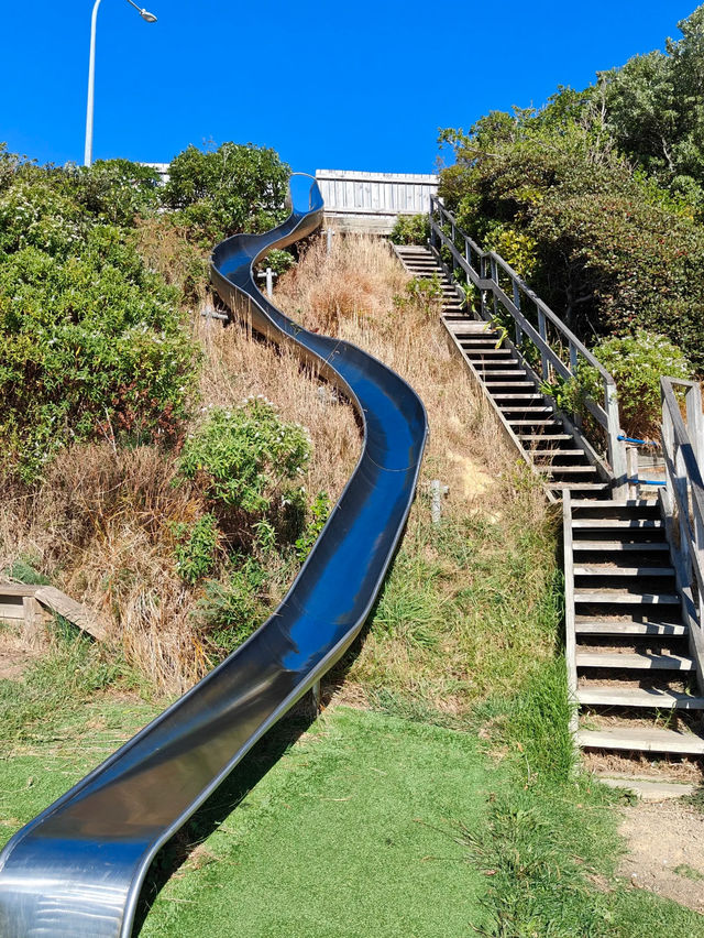 Nature’s Canvas: Exploring New Zealand’s Living Landscapes 