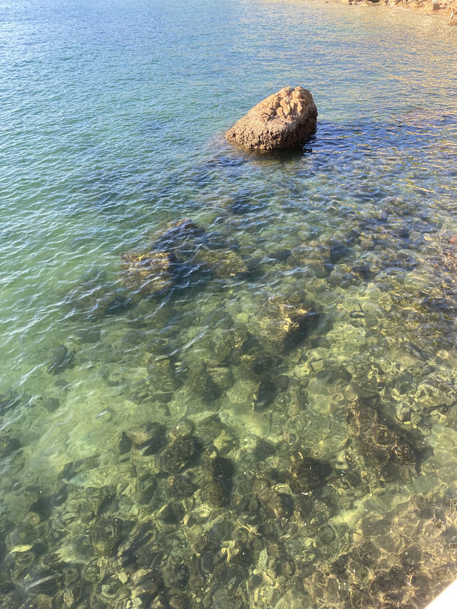 這個週末,就去小梅沙看果凍海吧🤩🤩 這個週末,就去小梅沙看果凍海吧🤩🤩