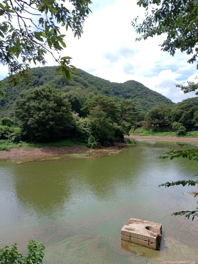 문화와 여유가 공존하는 길