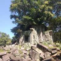 Prasat Beng Mealea