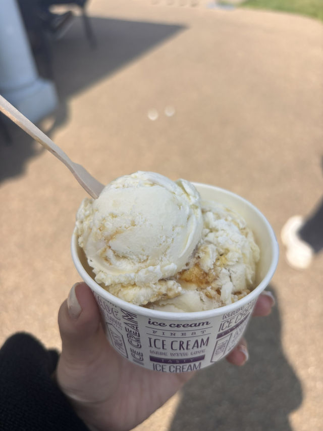 英國海邊小鎮Whitby chill遊全攻略🏖️  