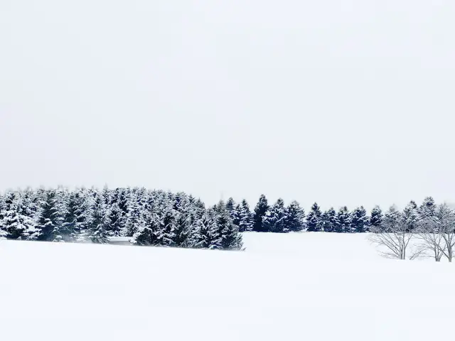 ❄️莫埃來沼公園，札幌市中心最佳賞雪勝地