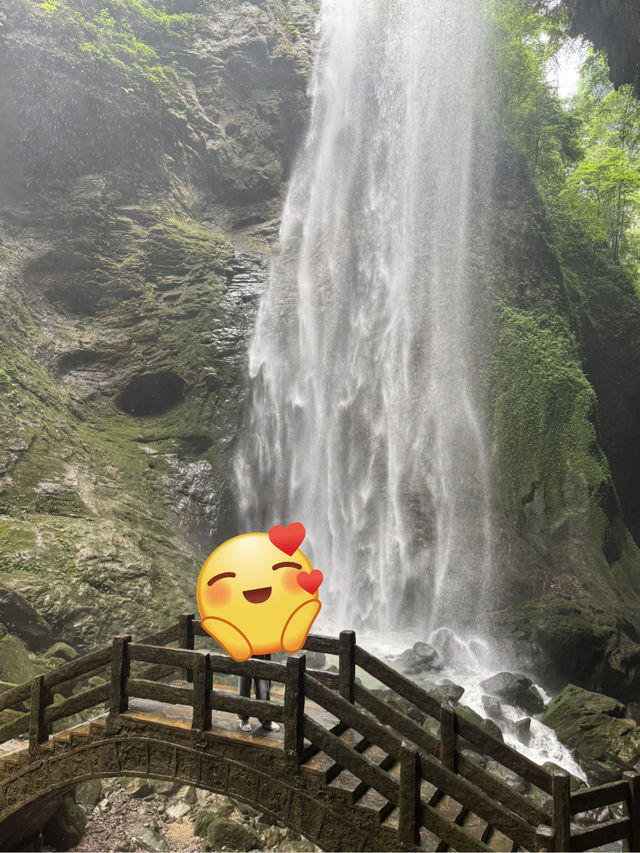 Wulong’s Misty Magic🌫️