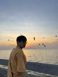 สถานตากอากาศบางปู