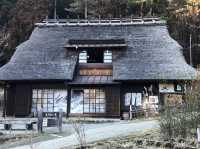 🌿 Saiko Iyashi no Sato Nenba: The Healing Village by Mount Fuji