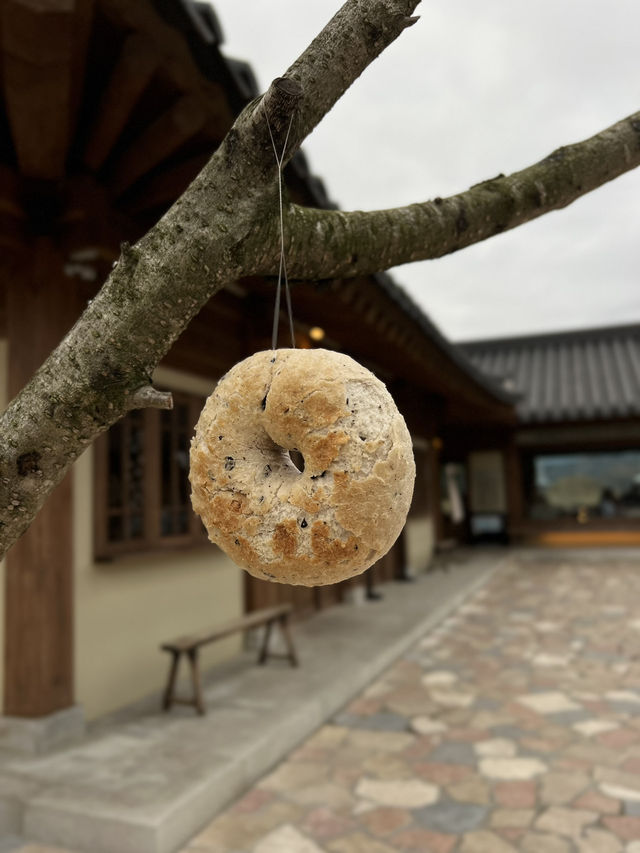 🏯✨ Gyeongju, Korea: A Historic Day Trip from Busan 🇰🇷