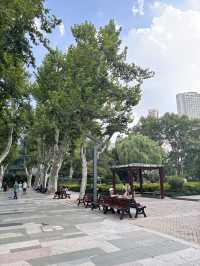 Jing’an Park สวนสาธารณะจิงอัน🌱☘️