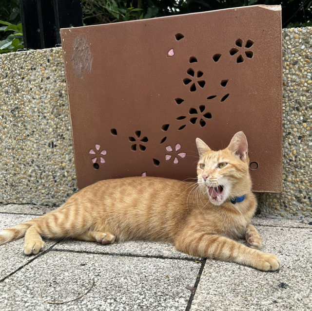 快樂不放假/港都城市漫遊/旗津島 快樂不放假/港都城市漫遊/旗津島