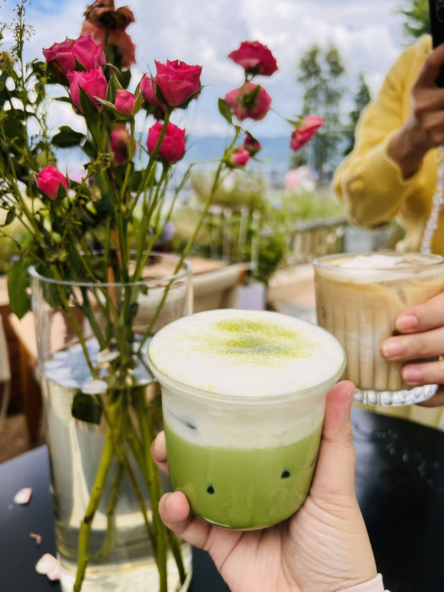 Erhai Lake - Cycling, Matcha + Coffee & Hydrangeas Cafe 