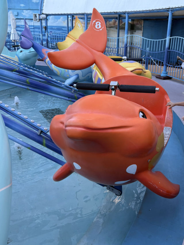 花蓮海洋公園！🌊