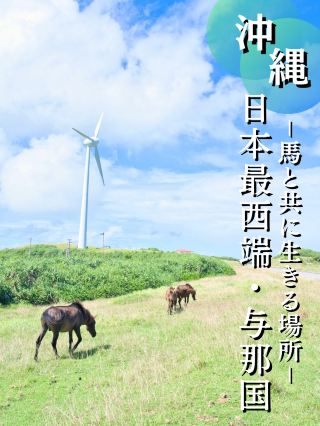 [For your next long weekend] A relaxing trip to meet the native horses living a laid-back life on the island! 🐎🏝️