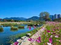 Jeolla Park