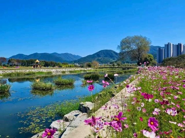Jeolla Park