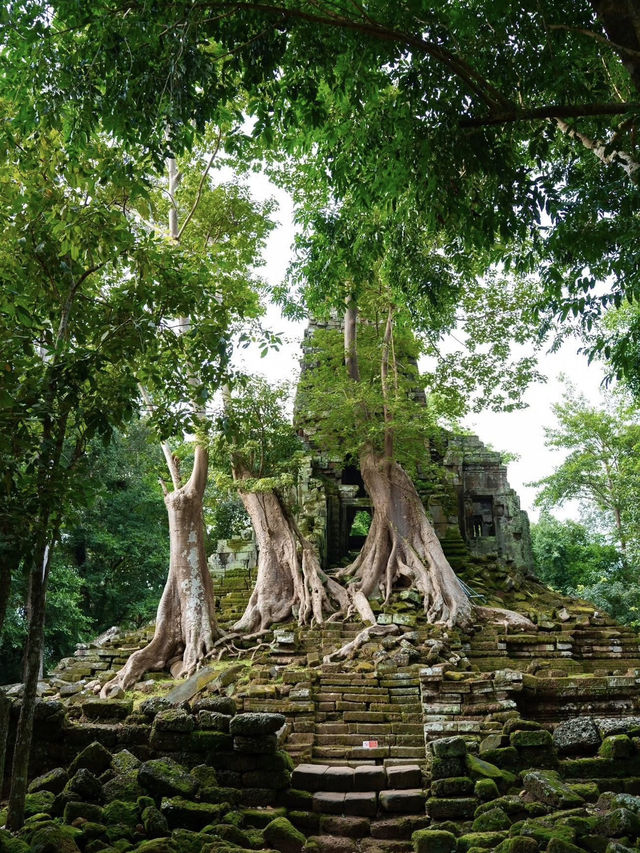 Palilai Temple, Find your own magic here!