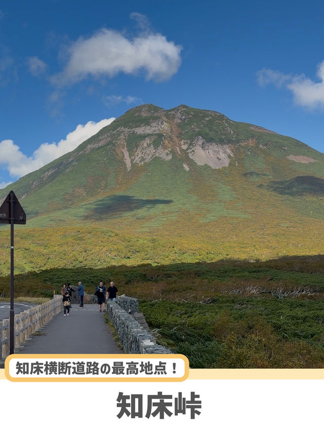 【北海道】世界自然遺産・知床で巡る絶景5選🌊🌲 【北海道】世界自然遺産・知床で巡る絶景5選🌊🌲