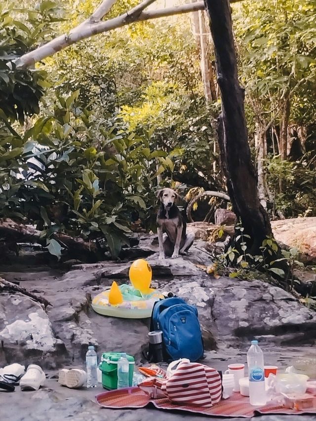 @อุดรธานี🏕ภูฝอยลม น้ำตกธารงาม