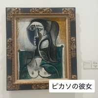 Colmer