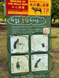 정말 나라는 “사슴의 도시”란 말이 딱이에요!🫎✔️