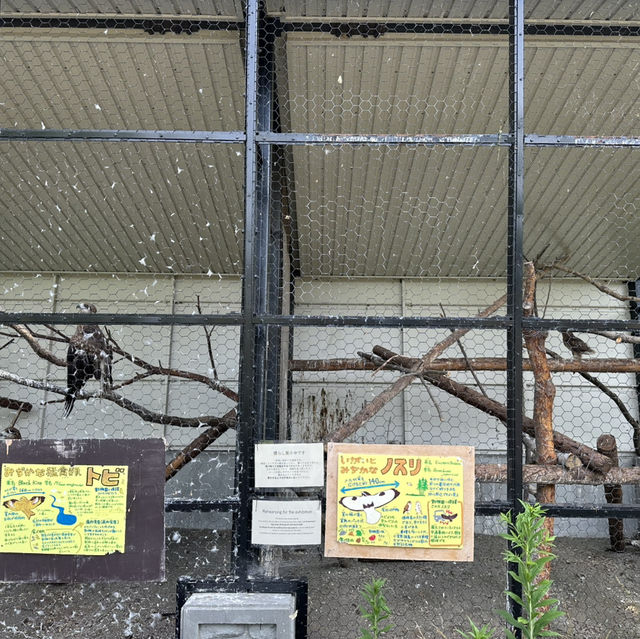 北海道旭川市旭山動物園