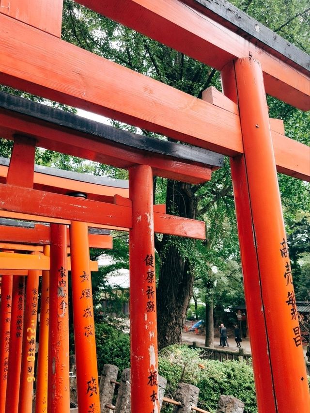 ศาลเจ้าเนซุ Nezu Shire