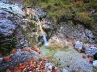 Paradise National Park