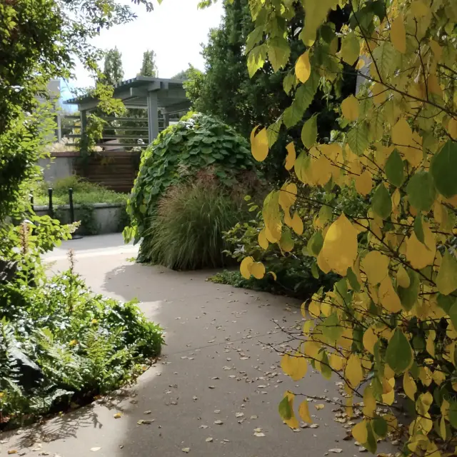 Denver Botanic Gardens