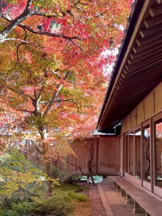 가을의 고요함, 치쿠세이의 사이쇼지 사원