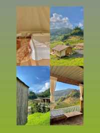 ที่พักมีชื่อว่า Stay Doi อยู่ อ.แม่แตง จ.เชียงใหม่