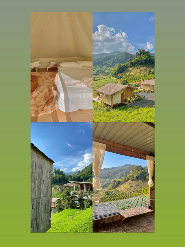 ที่พักมีชื่อว่า Stay Doi อยู่ อ.แม่แตง จ.เชียงใหม่ ที่พักมีชื่อว่า Stay Doi อยู่ อ.แม่แตง จ.เชียงใหม่