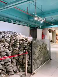 Coral Museum Magic🦀