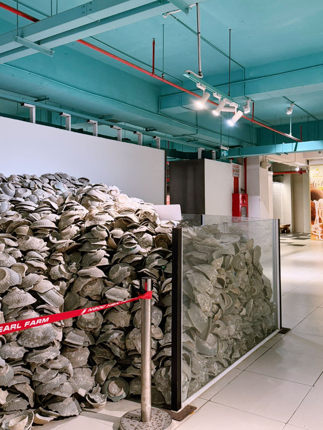 Coral Museum Magic🦀 Coral Museum Magic🦀