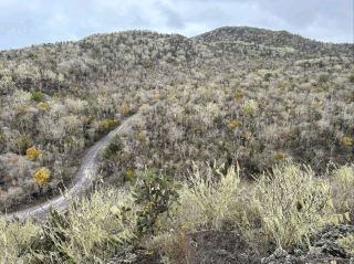 Isla Isabela A Journey Through the Wild Heart