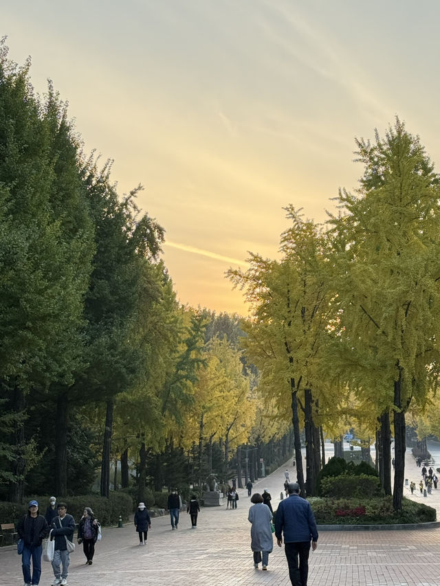 서울 도심 속 단풍 명소, 어린이대공원 서울 도심 속 단풍 명소, 어린이대공원