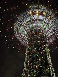 싱가포르 여행일정 공유 - DAY1 🇸🇬