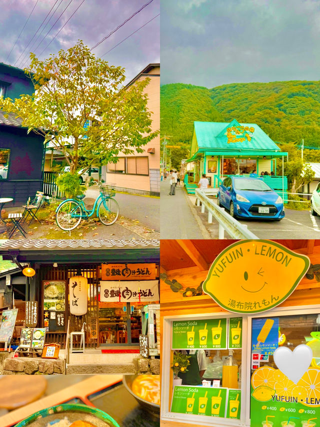 유후인노모리 타고 즐기는 유후인 여행 가이드 🚂🍂