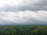 Chocolate Hill Dream🍃