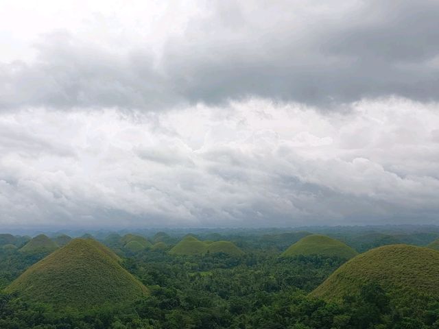 Chocolate Hill Dream🍃 Chocolate Hill Dream🍃