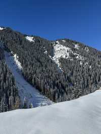 중앙아시아의 스위스, 키르기스스탄 알틴 아라샨! ❄️🏔️