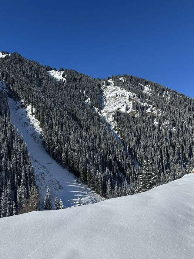 중앙아시아의 스위스, 키르기스스탄 알틴 아라샨! ❄️🏔️