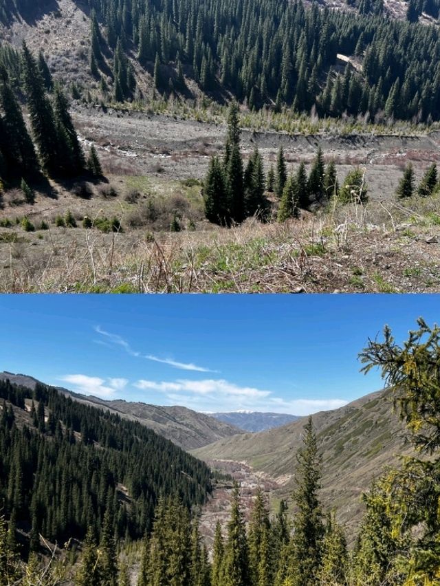 산속에 숨어 있던 비밀 정원을 만난 듯한 순간 산속에 숨어 있던 비밀 정원을 만난 듯한 순간