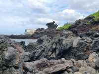 아름다운 바다 여행 📍제주도