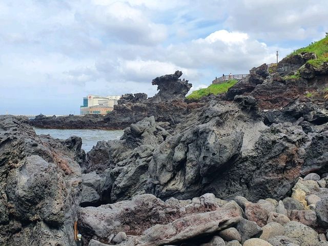 아름다운 바다 여행 📍제주도 아름다운 바다 여행 📍제주도