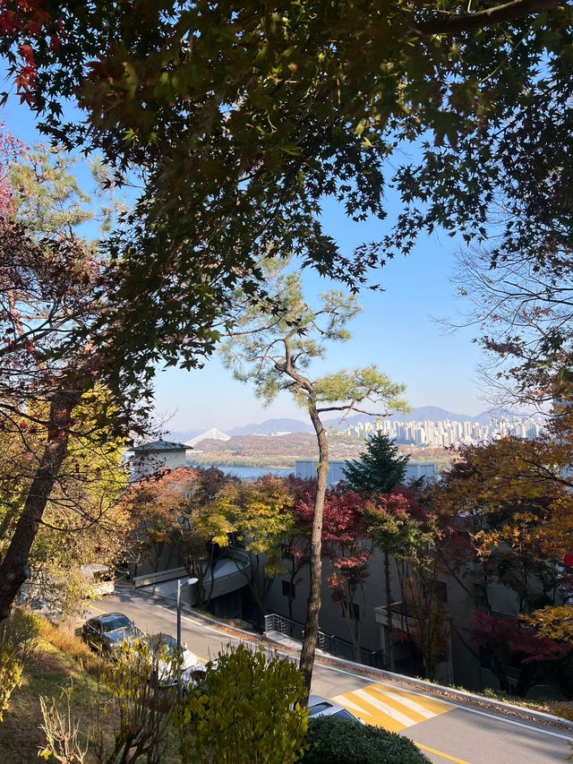 🪻더글라스 가든과 워커힐 산책길