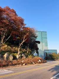 워커힐을 산챡하며