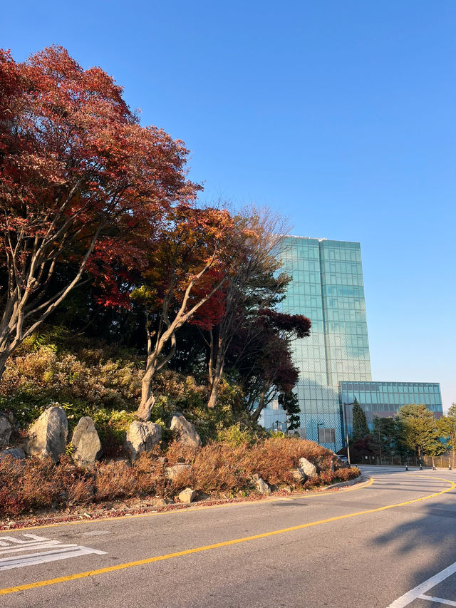 워커힐을 산챡하며