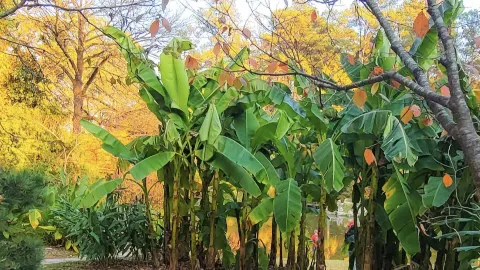 Vườn Sarah P. Duke — traveler post in Durham