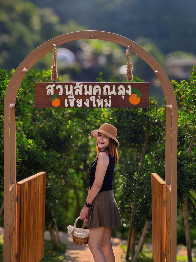 ผาปู่จอม แม่แตง เเชียงใหม ผาปู่จอม แม่แตง เเชียงใหม