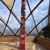 Waitomo Glowworm Caves