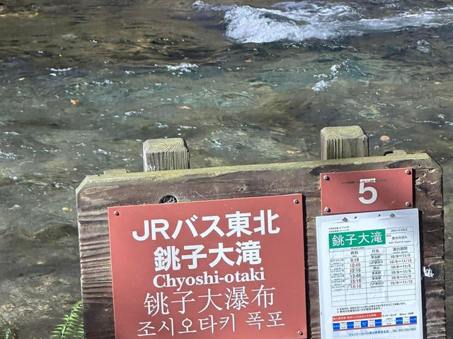 跟著松尾芭蕉的足跡～東北奧之細道賞楓